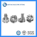 Sanitary Stainless Steel Flanged Sight Glass St-V1103